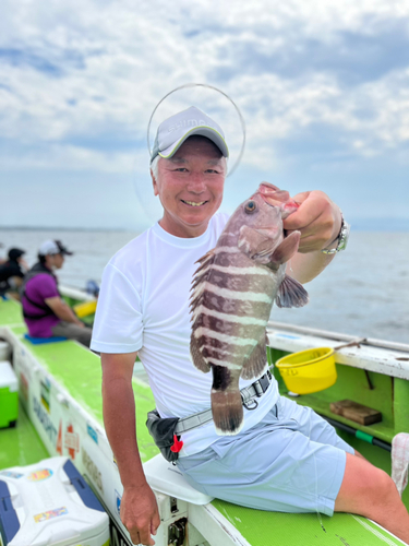 マハタの釣果