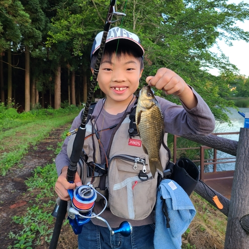 フナの釣果