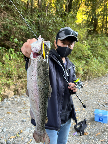 トラウトの釣果