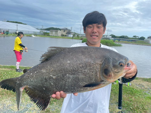 コロソマの釣果