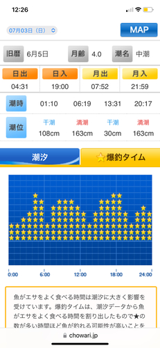 クサフグの釣果