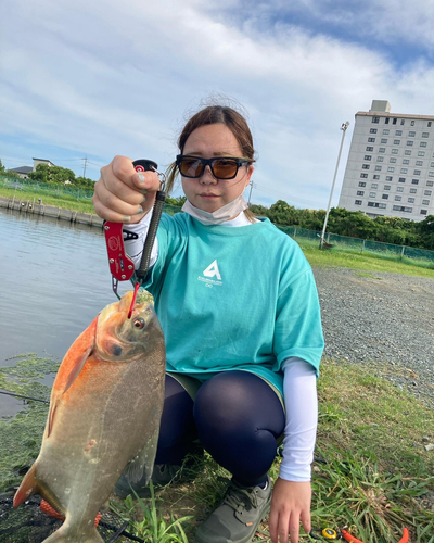 コロソマの釣果