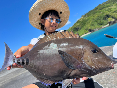 サンノジの釣果