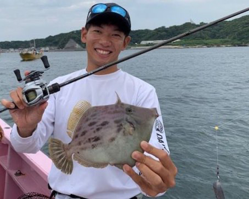 カワハギの釣果