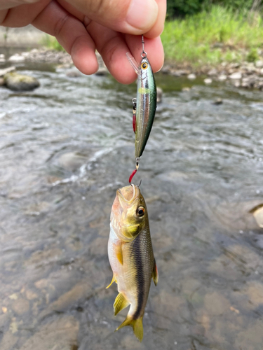 釣果