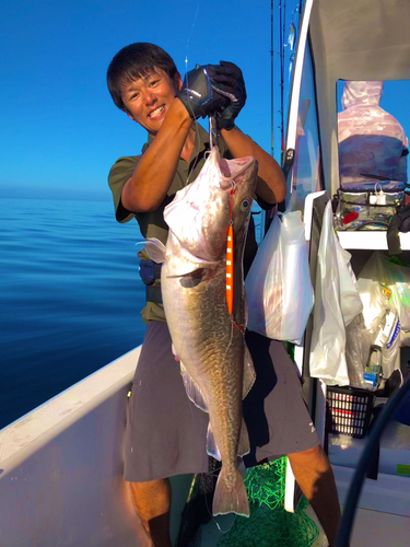 マダラの釣果