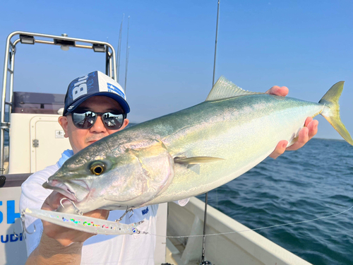 イナダの釣果