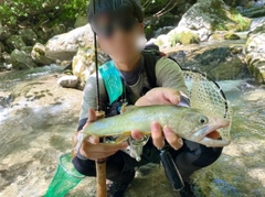 イワナの釣果