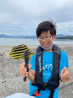 カゴカキダイの釣果