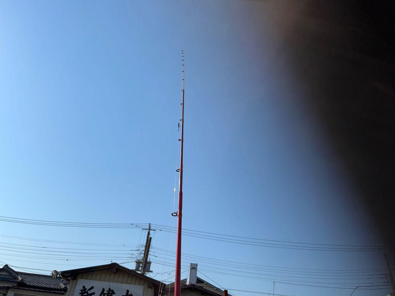シロギス