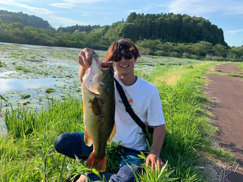 ブラックバスの釣果