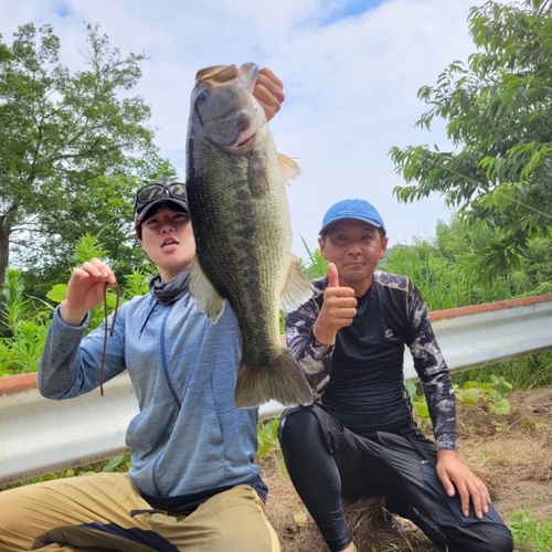 ブラックバスの釣果