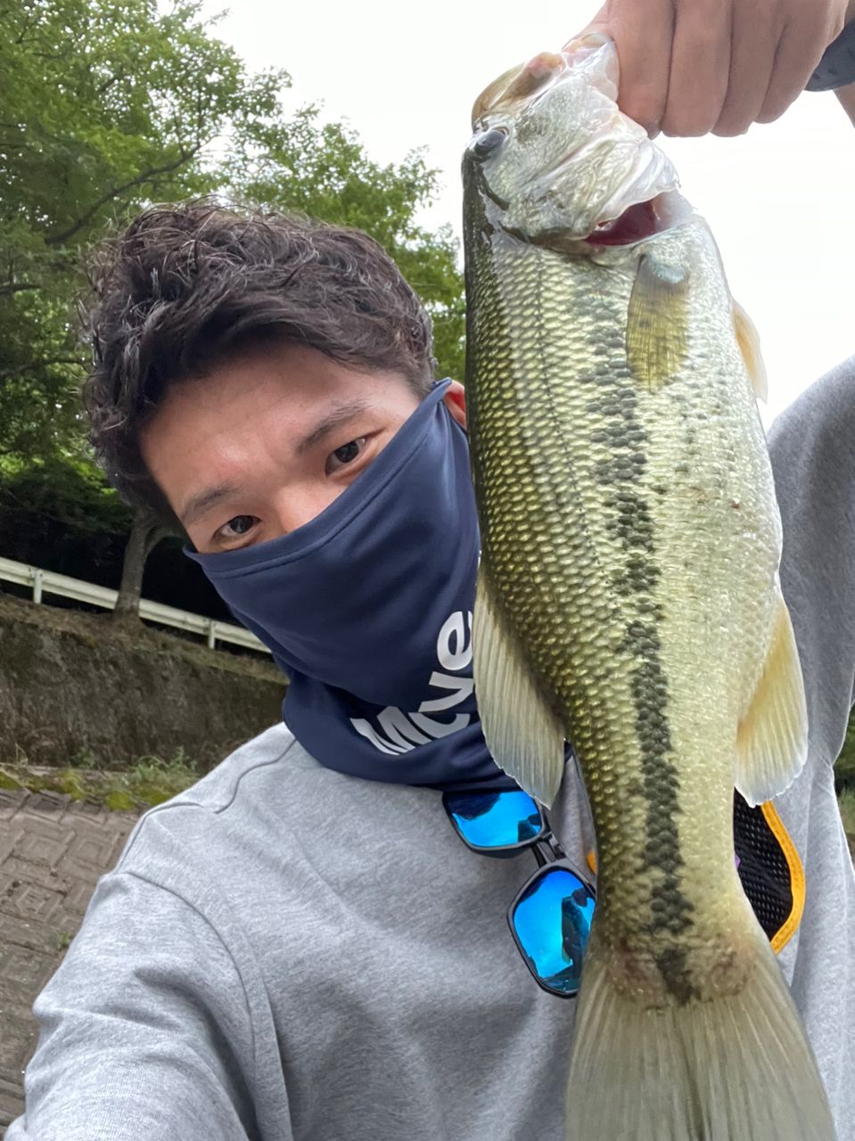 ブラックバス