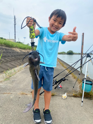 アメリカンキャットフィッシュの釣果