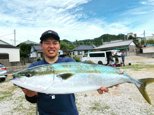 ワラサの釣果