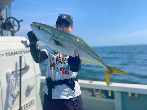 ワラサの釣果