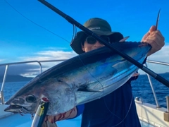 カツオの釣果