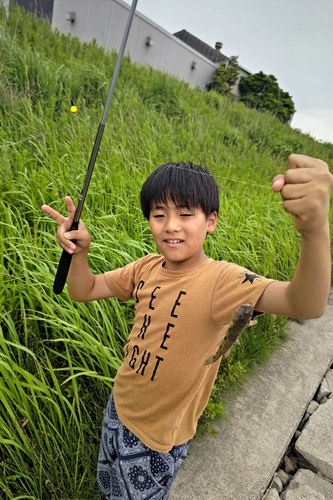 ウロハゼの釣果