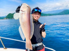 シロアマダイの釣果