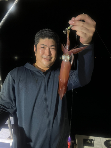 ヤリイカの釣果