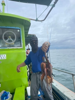 タコの釣果