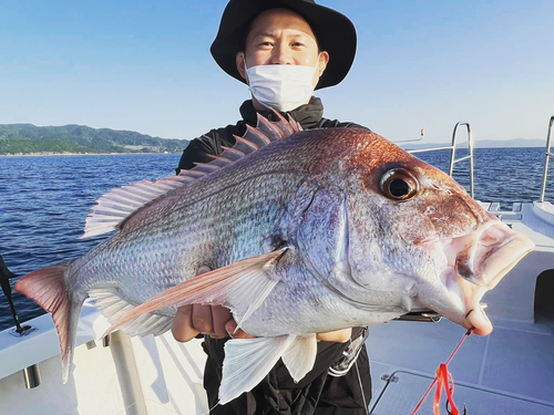 タイの釣果