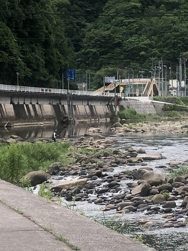 アユの釣果