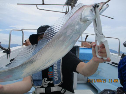 タチウオの釣果