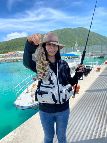 イシミーバイの釣果