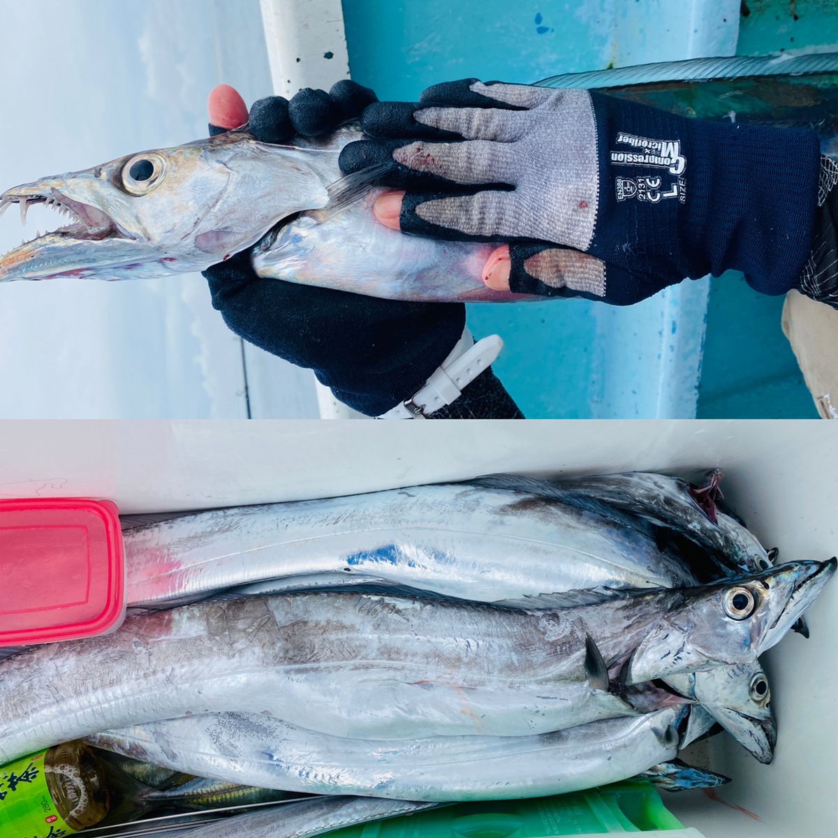 ゆりりンさんの釣果 2枚目の画像