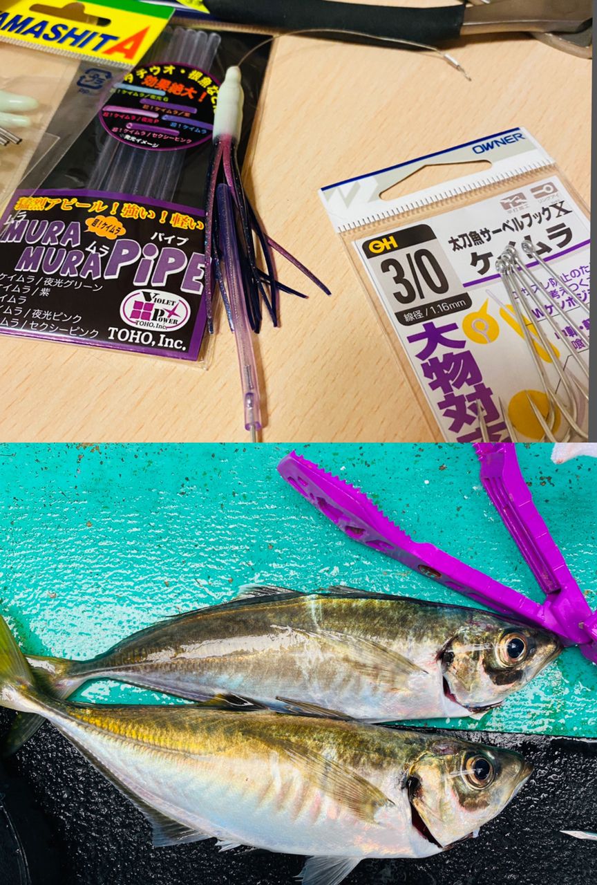 ゆりりンさんの釣果 3枚目の画像