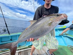 ヒレナガカンパチの釣果