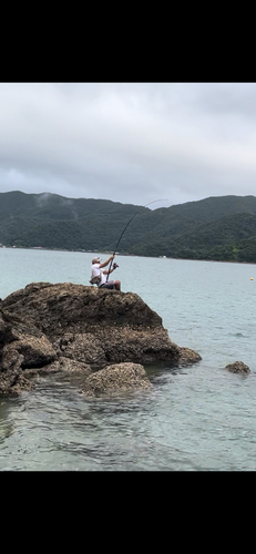 GTの釣果