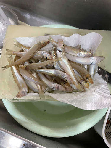 釣果