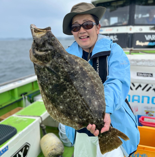 ヒラメの釣果