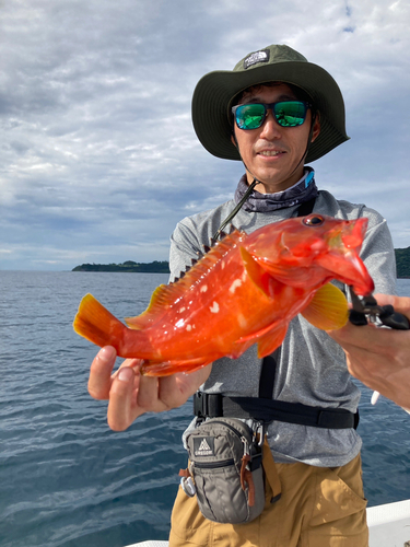 アカハタの釣果