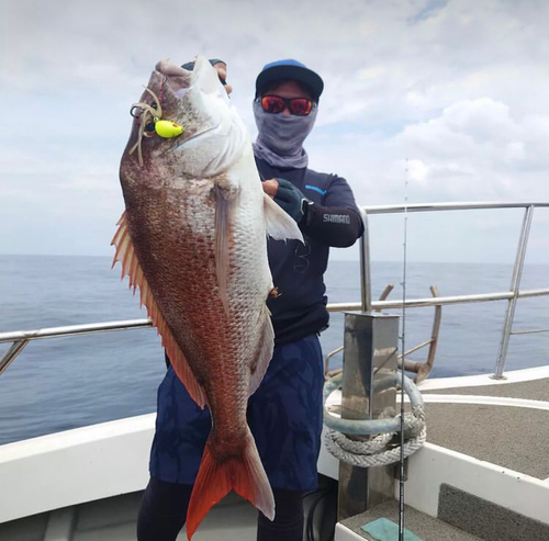 タイの釣果