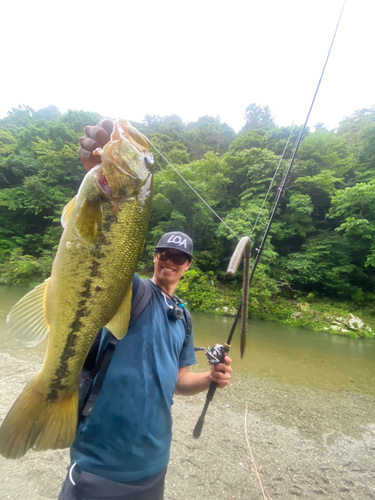 ブラックバスの釣果