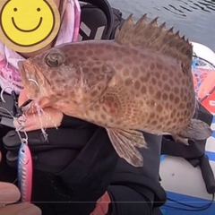 オオモンハタの釣果