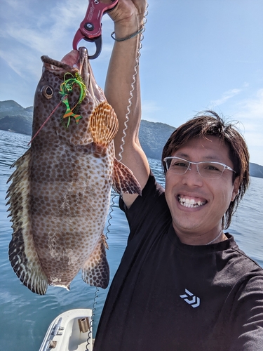 オオモンハタの釣果