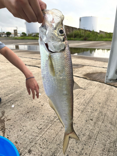 釣果