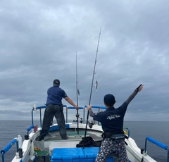 ヤナギノマイの釣果