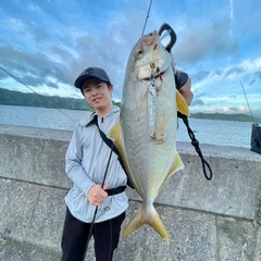 カンパチの釣果