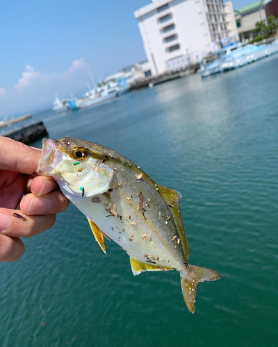 釣果