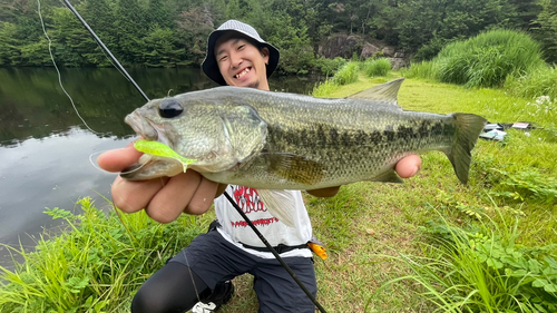 ブラックバスの釣果