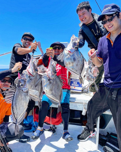 カガミダイの釣果