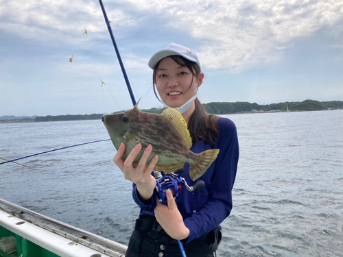 カワハギの釣果