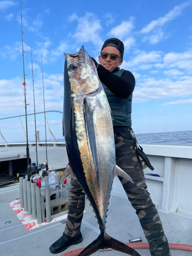 ビンチョウマグロの釣果