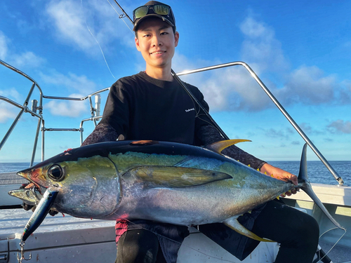 キハダマグロの釣果