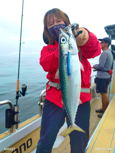 サバの釣果